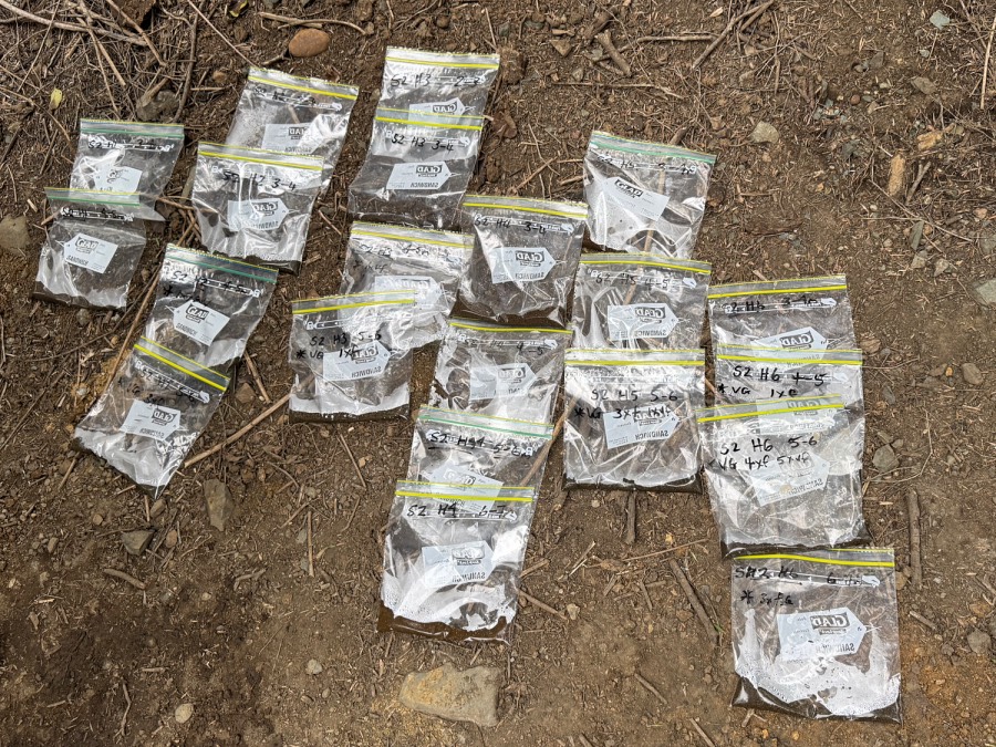 ECR Minerals gold production & expansion plans for 2025 #ecr #gold