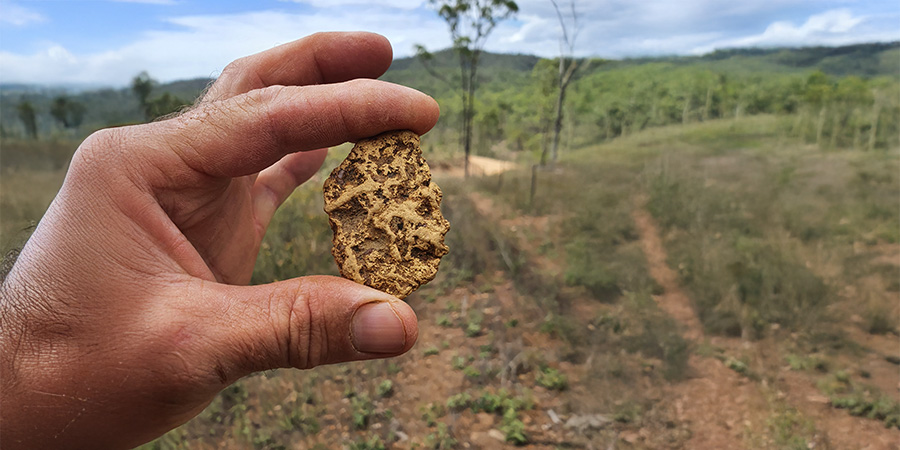 Investment Case Raglan