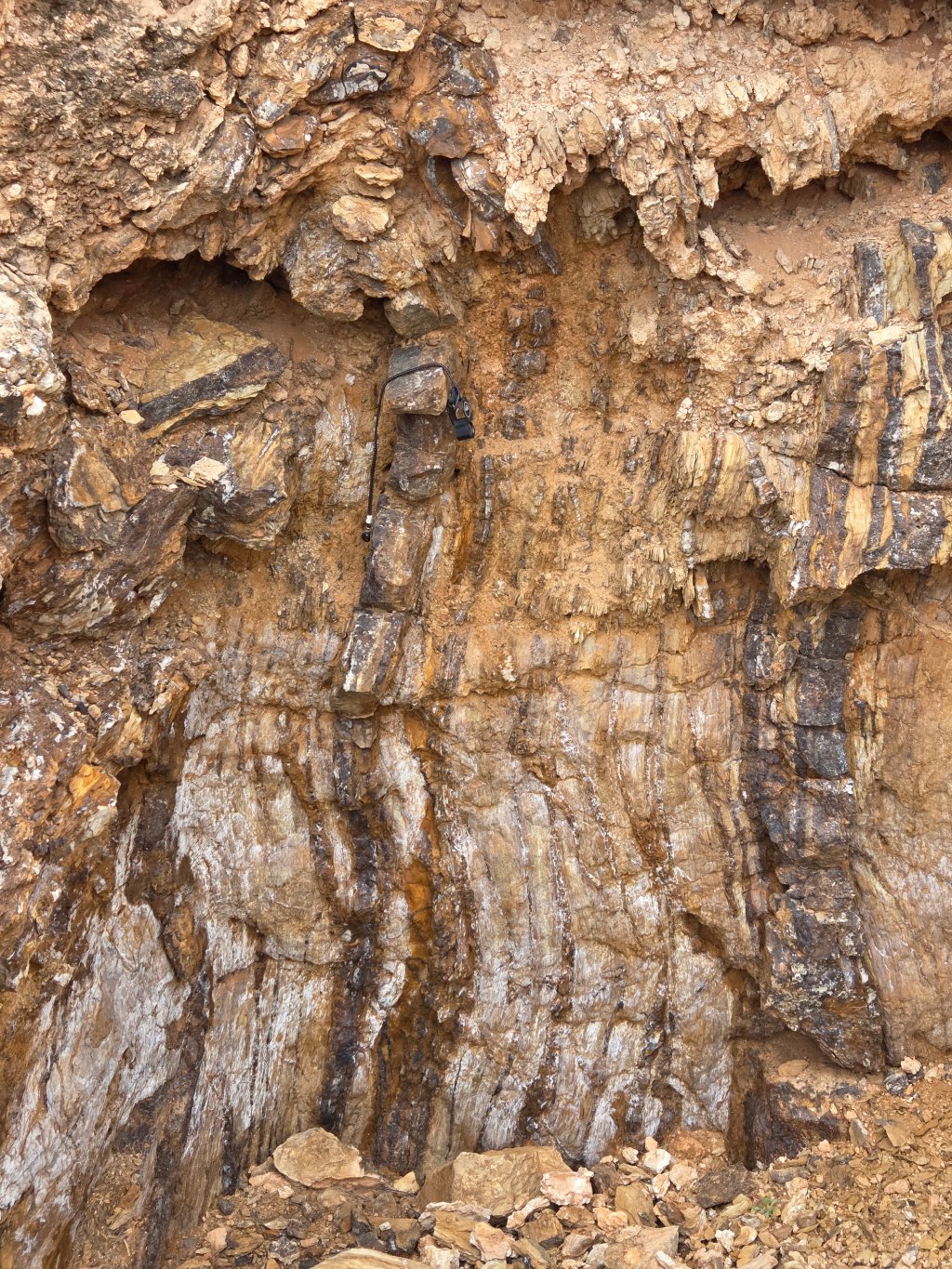 Salt Bush Exploration Trench Veining