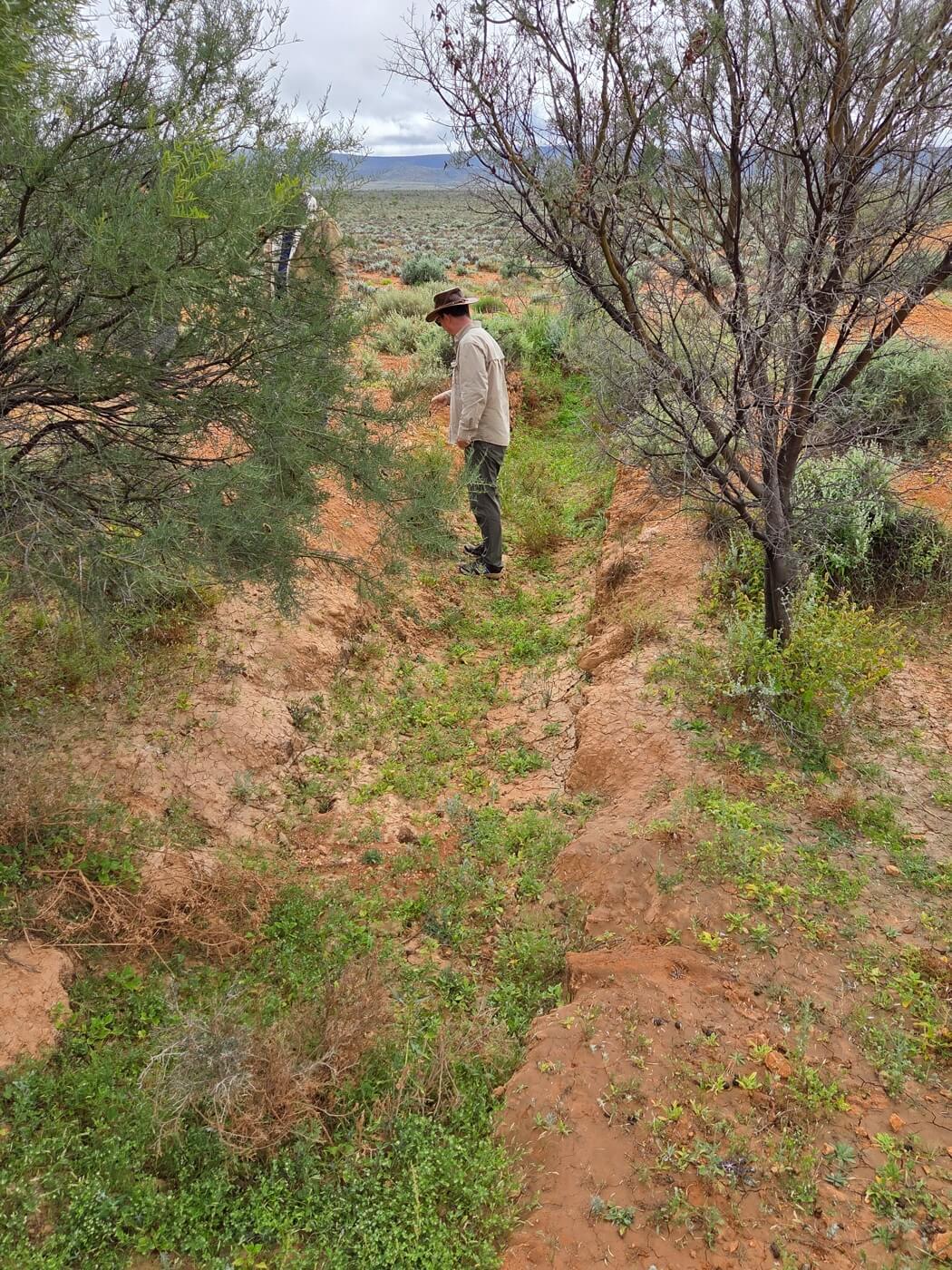 Salt Bush Ml Expl Trench West End