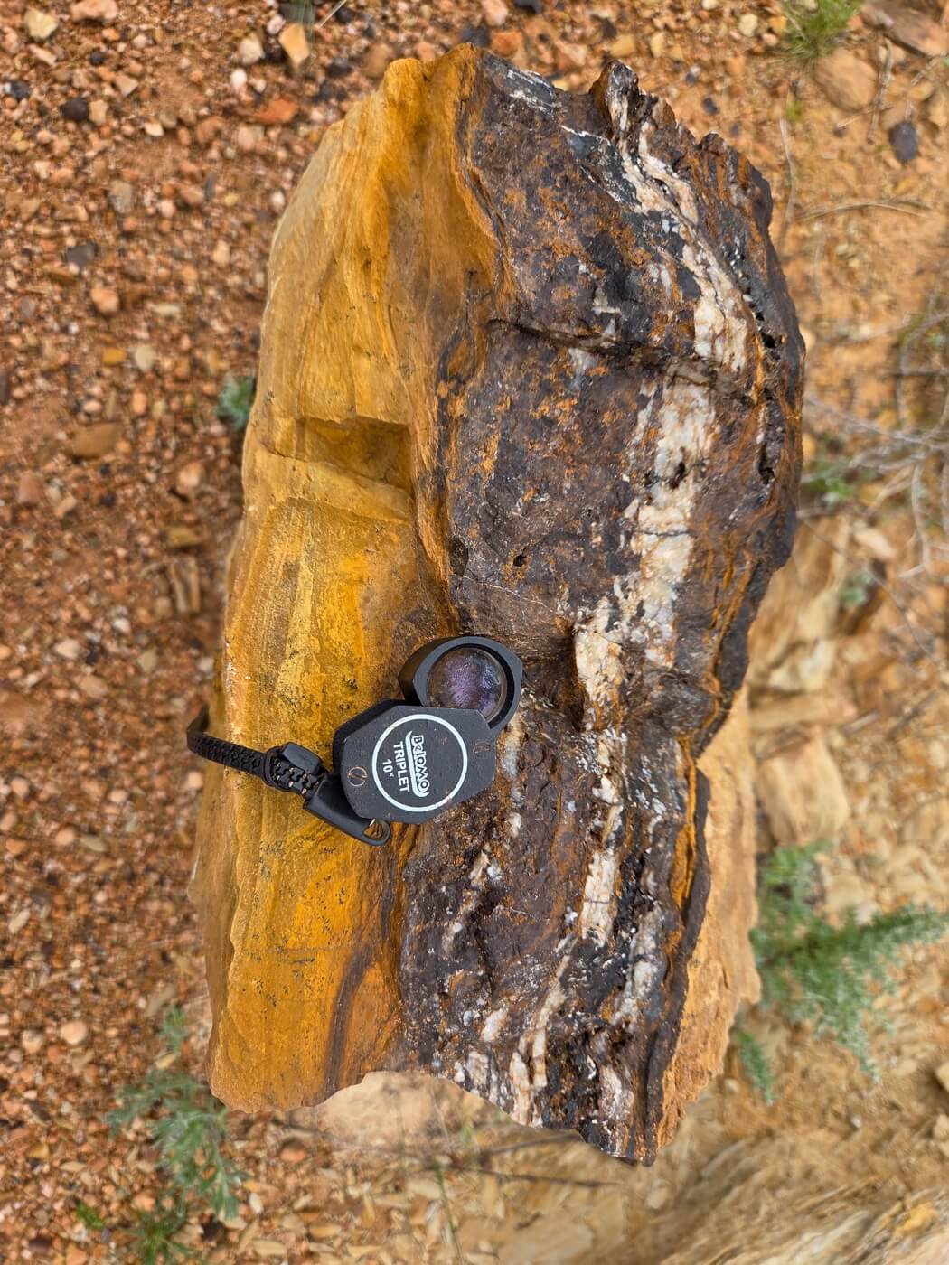 Salt Bush Mineralisation
