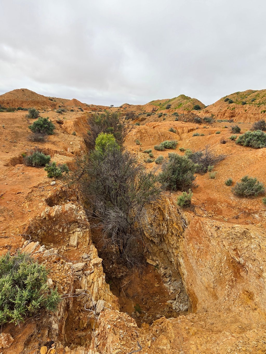 Salt Bush Pit Eastern End