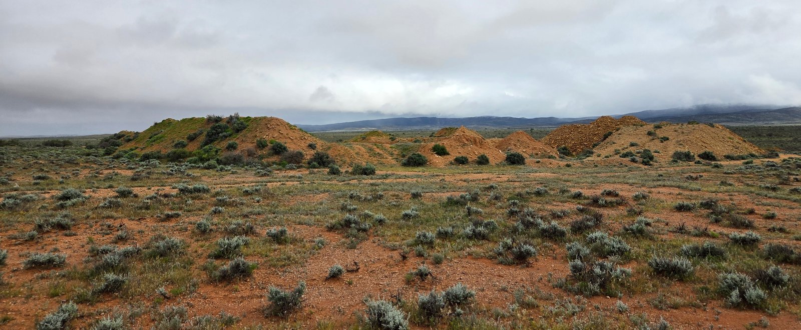 Salt Bush Pit From East Banner