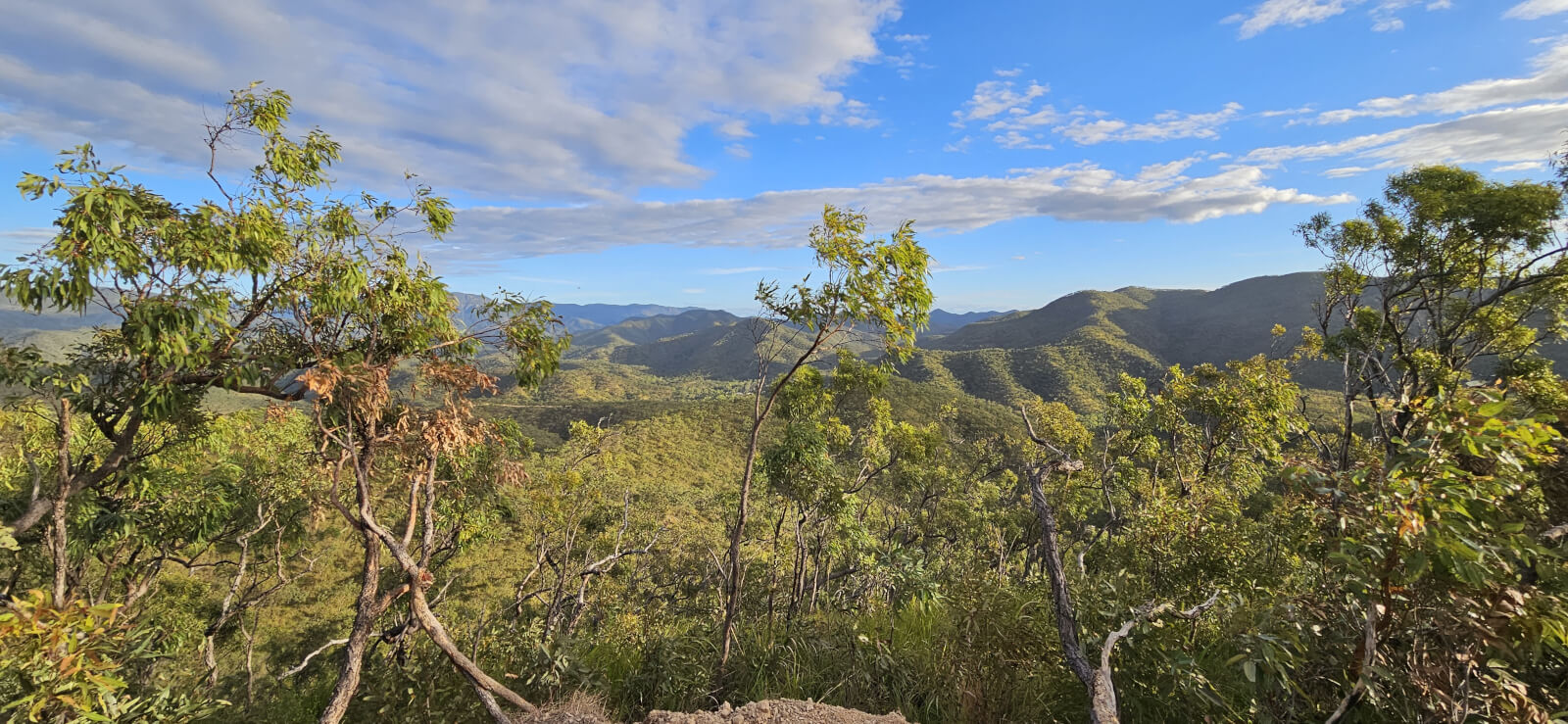 Maddens View 1600x739